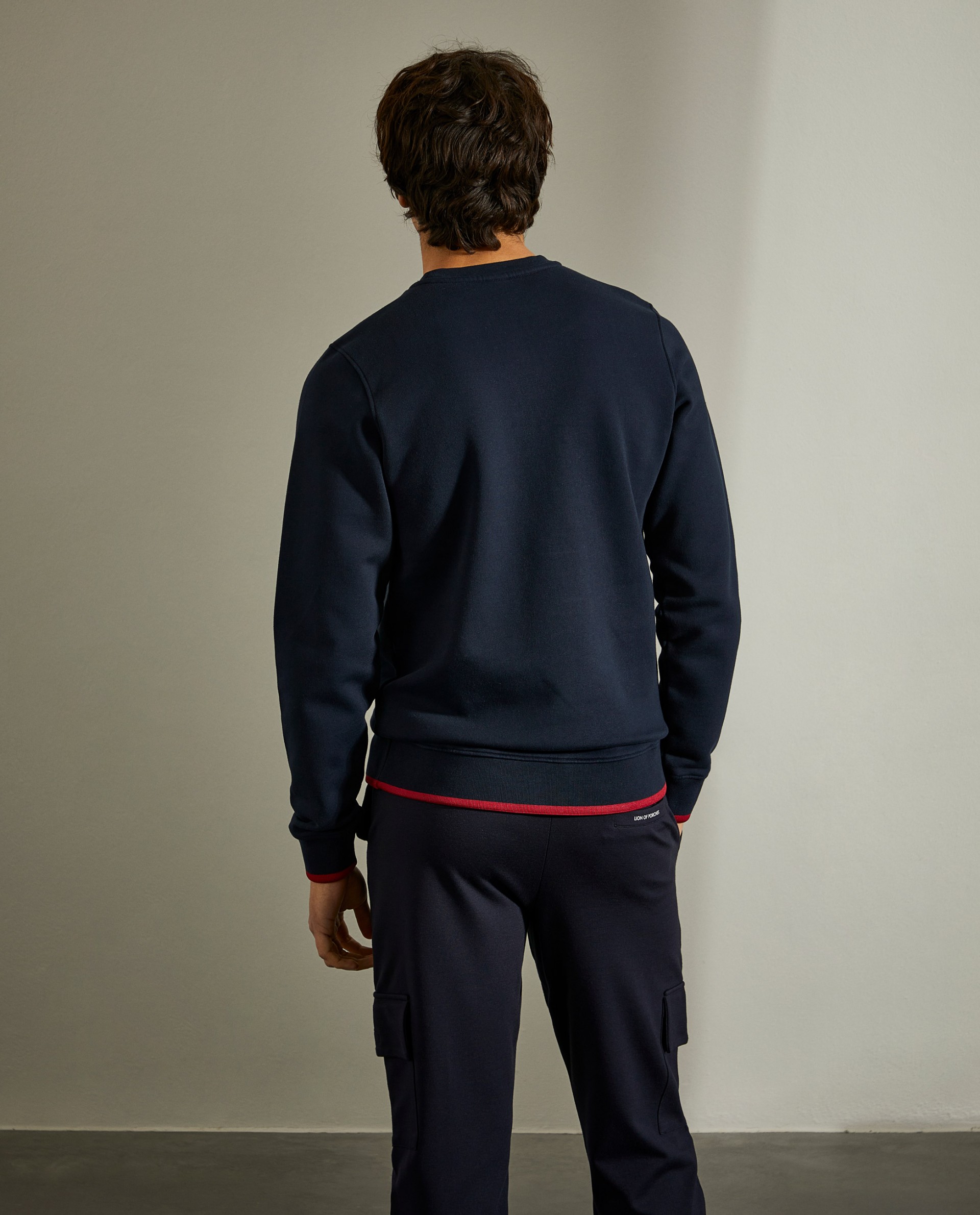 Sudadera LION
